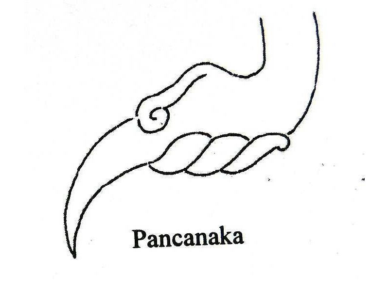 hands-pancanaka-pointed thumbnail-sunarto 118